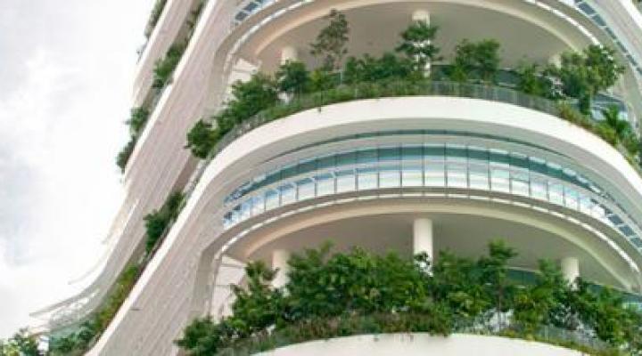 Soilbuild Business Space REIT posts 11.1% drop in 1Q DPU to 1.324 cents on lower revenue