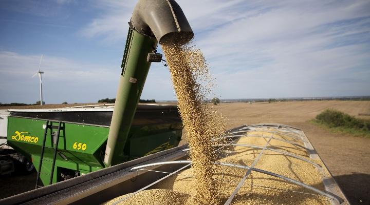 Soybean futures cap longest rally in 40 years on China demand