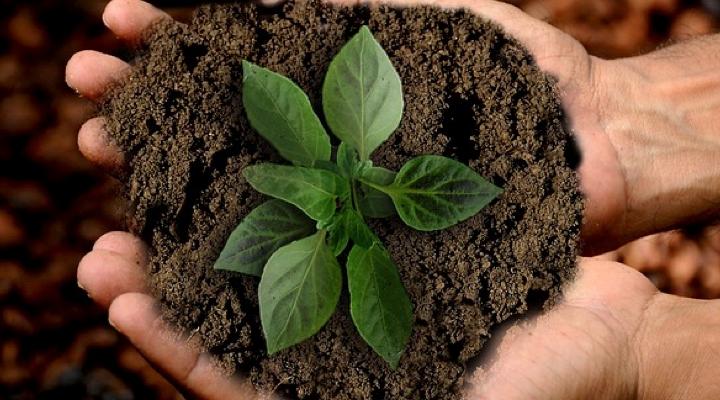 Almost 7 of 10 HNW investors in Asia want to help create a better future with sustainable investing