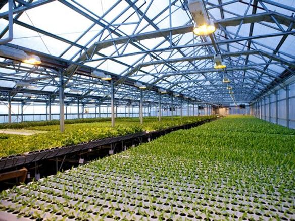 Avarga to acquire 23.08% stake in urban farming startup Archisen for up to $1.5 mil