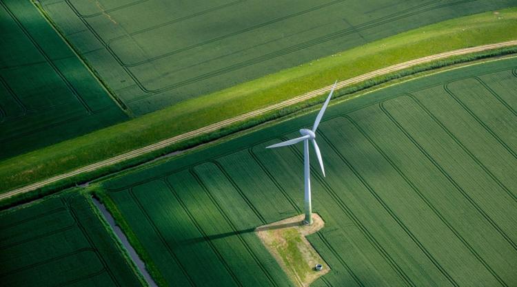 WWF sustainable banking assessment finds 'significant level of progress' among Asean banks